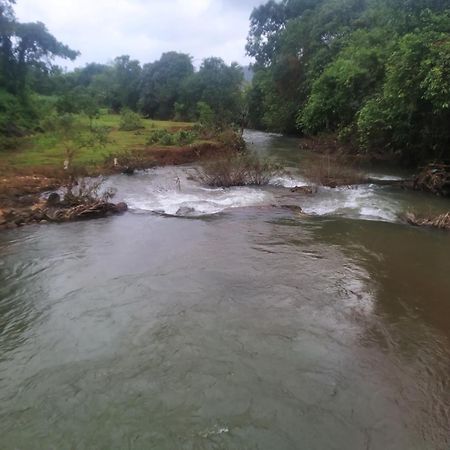 Yashovana Nature Stay Gokarna المظهر الخارجي الصورة